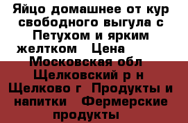 Яйцо домашнее от кур свободного выгула с Петухом и ярким желтком › Цена ­ 100 - Московская обл., Щелковский р-н, Щелково г. Продукты и напитки » Фермерские продукты   